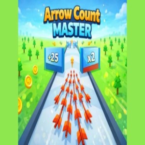 Arrow Count Master